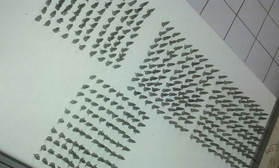 PM apreende drogas e recupera moto furtada. Traficantes tiveram prejuízo de R$ 8 mil