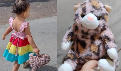 Família mariliense pede ajuda para encontrar pelúcia de criança: 