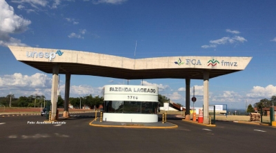 É cada uma! Ladrões furtam 100 quilos de carne para pesquisa da Unesp