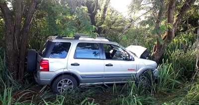 Motorista morre ao bater contra árvore em rodovia, na região