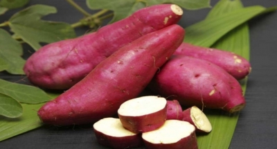 Batata-doce ajuda a emagrecer e é fonte de energia