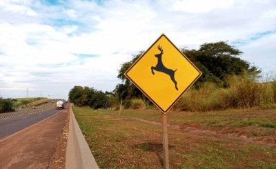 Campanha alerta sobre o risco de animais em rodovias da região
