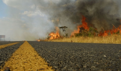 Entrevias registra 263 incêndios às margens de rodovia