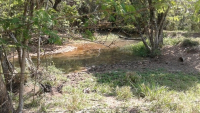 Polícia constata destruição de vegetação nativa