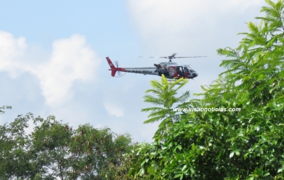 Águia ajuda nas buscas aos menores fugitivos