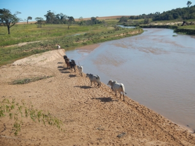 Polícia Ambiental faz fiscalizações na região