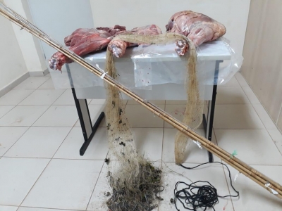 Casais invadem sítio para pescar e acabam abatendo gado