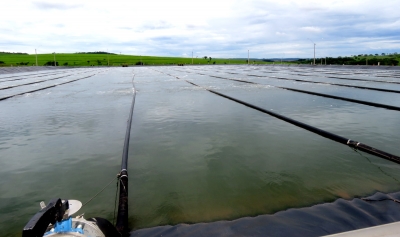 Apresentação teatral mostra a importância da preservação dos rios