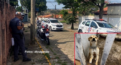 Garça: Justiça determina apreensão de animais em situação de maus tratos