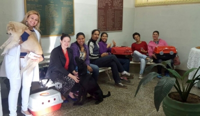 Unimar realiza mutirão de castrações