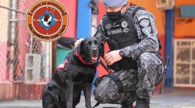 Cadela que fez buscas em Brumadinho se aposenta do Corpo de Bombeiros de SP