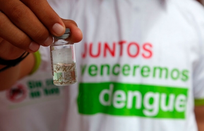 Pessoas idosas estão entre as mais vulneráveis ao vírus da dengue