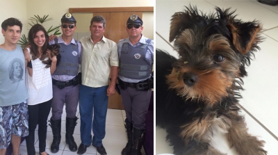 Cão furtado em Marília é encontrado em rodovia