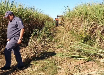 Lavrador tem perna decepada em triturador de cana