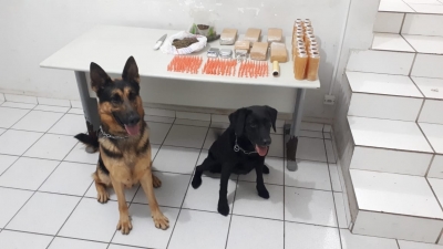 Canil da PM apreende grande quantidade de drogas na zona sul de Marília