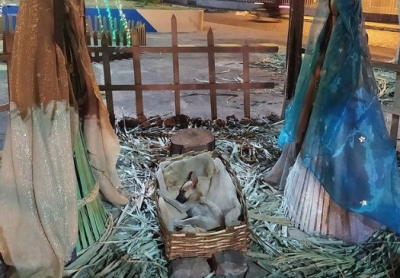 Cachorrinha que dormia em manjedoura de presépio é adotada
