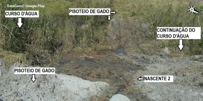 Pisoteio de gado acaba em multa em Marília