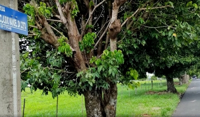 Justiça: Prefeitura de Marília tem seis meses para mapear calçadas irregulares
