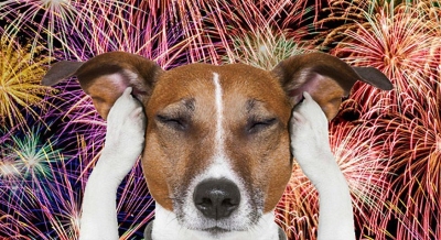 Cidade da região quer proibir fogos de artifícios barulhentos