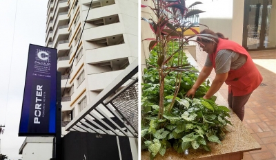 Febre amarela: Calcular vai reforçar campanha de combate ao Aedes aegypti