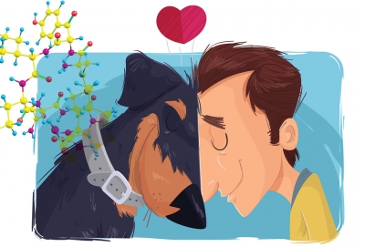 Cão espera na porta do hospital por dono que morreu por Covid-19 há mais de um mês