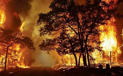 Polícia Militar Ambiental e Ministério Público divulgam resultados da Operação Huracán