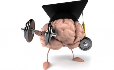 Dicas para manter o cérebro sempre jovem