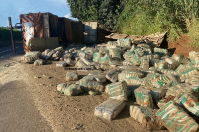 PRF prende três homens por saque de carga em rodovia após carreta tombar BR 153