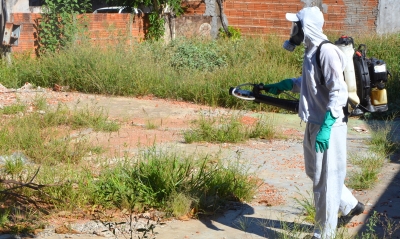 Dengue exige atenção redobrada dos moradores. Marília faz intenso combate