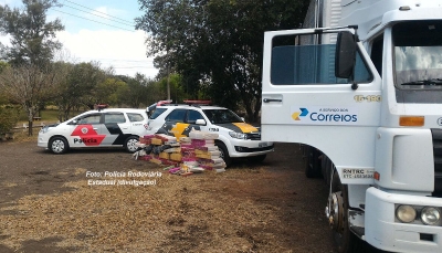 Caminhão com adesivo dos Correios é apreendido com quase 800 quilos de maconha, na região