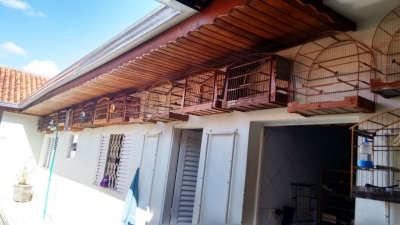 Polícia Ambiental encontra pássaros em cativeiro