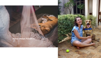 Cachorro de rua que invadiu casamento é adotado pelos noivos