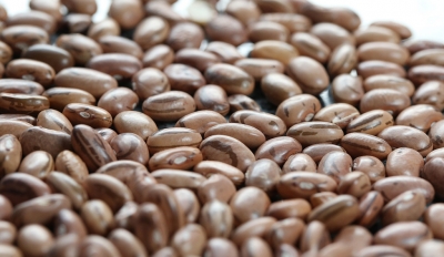 Governo importará feijão para reduzir preço