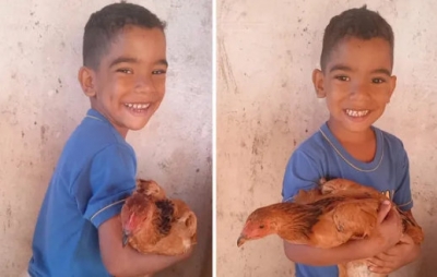 Galinha estimula desenvolvimento de menino autista: 