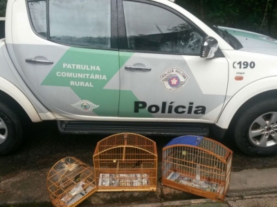 Polícia divulga balanço da operação contra tráfico de animais