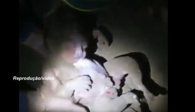 Polícia resgata recém nascido enterrado vivo pela avó