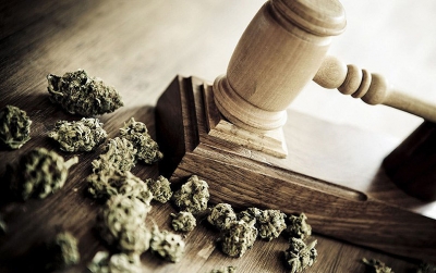 Mulher ganha o direito de importar semente de maconha para uso medicinal