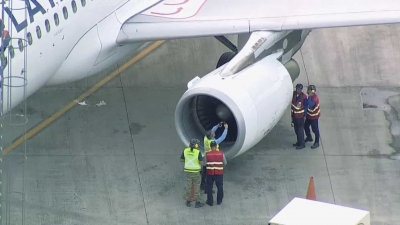 Pássaro atinge motor de avião da Latam e piloto interrompe viagem