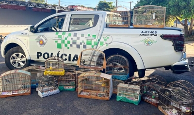 Homem mantém pássaros em cativeiro e recebe multa de R$ 10 mil