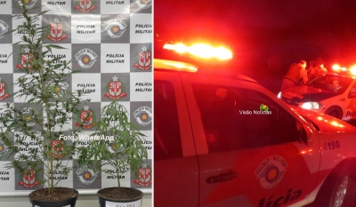 Traficantes enfrentam Polícia Militar a tiros. Adolescente planta pés de maconha 