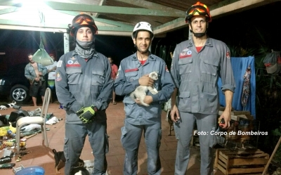 Gatinho cai em poço de 15 metros e é salvo pelos Bombeiros