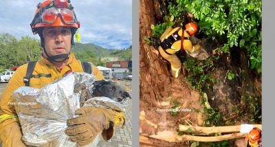 Em meio a tragédia, equipe dos Bombeiros de Marília resgata cãozinho no Litoral