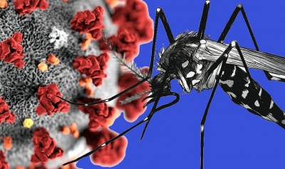 Marília registra 83 novos casos de dengue em um dia e mais uma morte por Covid-19