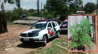 Garoto de 11 anos e irmão de 16 são detidos com drogas na zona Sul