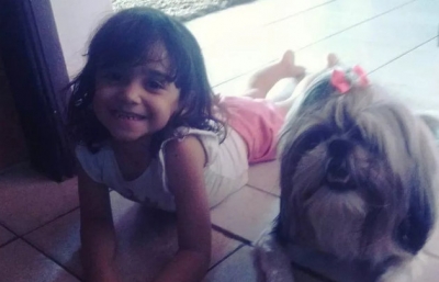 Cachorra morre depois de tentar salvar criança e ser atacada por pitbull