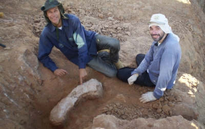 Museu de Paleontologia de Marília completa 12 anos 