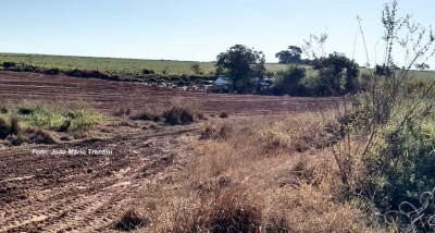 Abelhas atacam motoristas após tombamento de caminhão