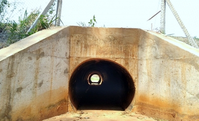 Entrevias vai implantar 30 passagens de fauna na SP-333