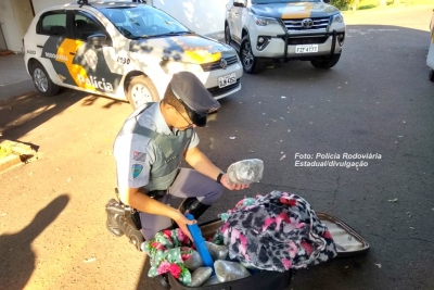 Polícia Rodoviária apreende skank e maconha na SP-294