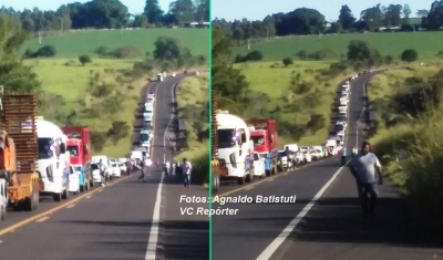 Corte de árvore interdita a SP-333 próximo a Marília